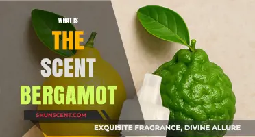 Discover the Fresh, Citrusy Aroma of Bergamot: A Scent Guide