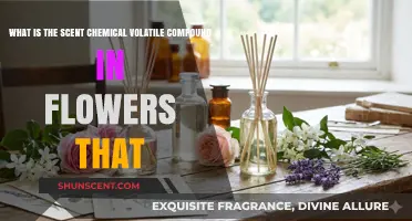 Unveiling the Floral Scent: Volatile Compounds Behind Nature's Aromas