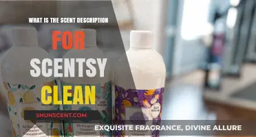 Scentsy Clean Scent Description: A Fresh and Invigorating Aroma Explained