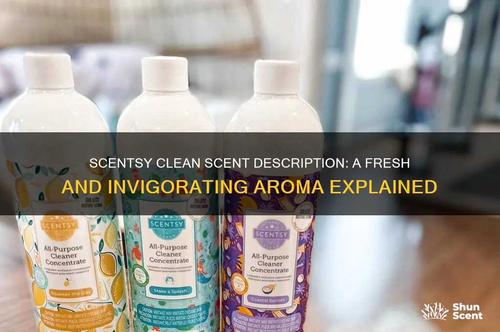 what is the scent description for scentsy clean