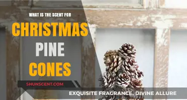 Captivating Christmas Pine Cone Scents: Unwrap the Festive Fragrance Magic