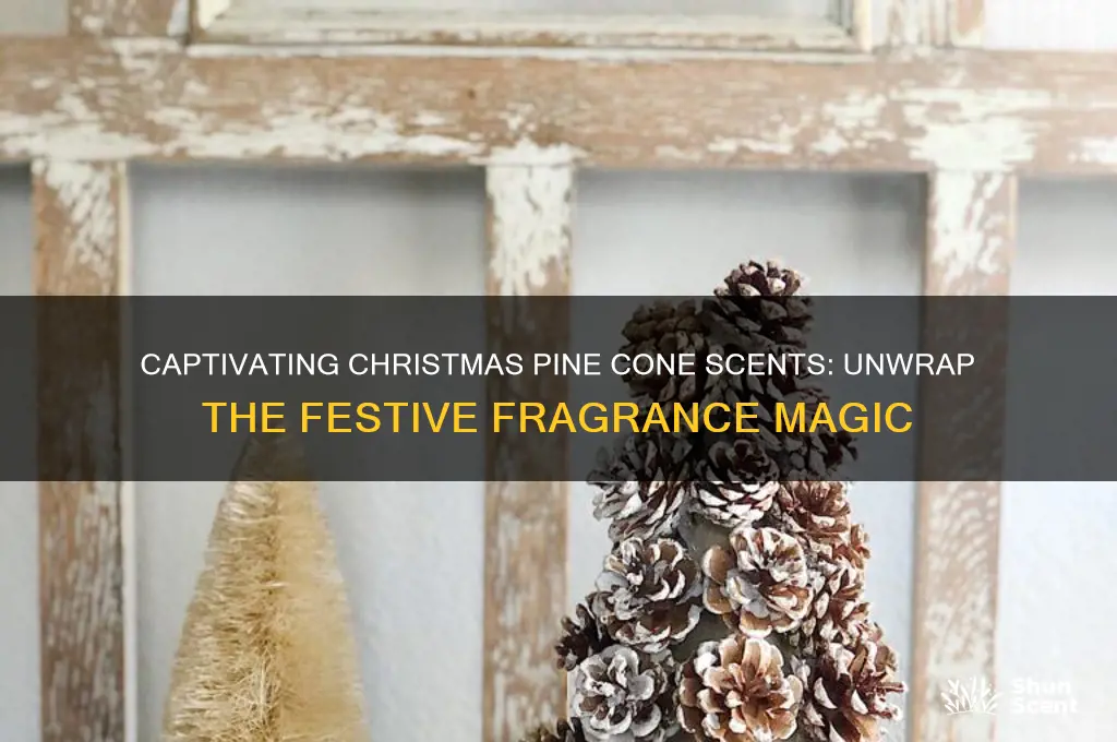 what is the scent for christmas pine cones