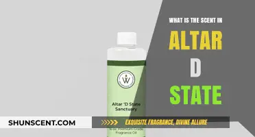 Unveiling the Mystical Scent of Altar'd State: A Fragrant Journey