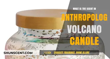 Unveiling the Tropical Citrus Aromas of Anthropologie's Volcano Candle