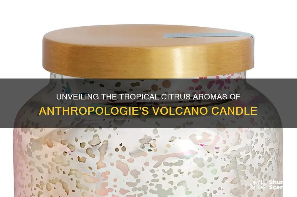 what is the scent in anthropologie volcano candle
