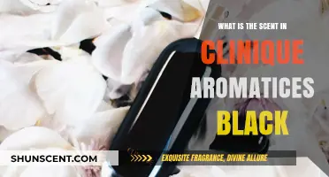 Unveiling the Mysterious Scent in Clinique Aromatics Elixir Black