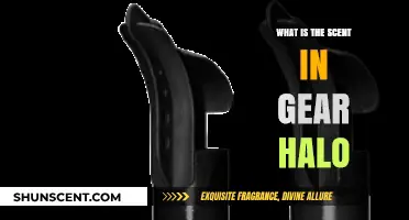 Unveiling the Signature Scent in Gear Halo: A Fragrant Mystery Explored
