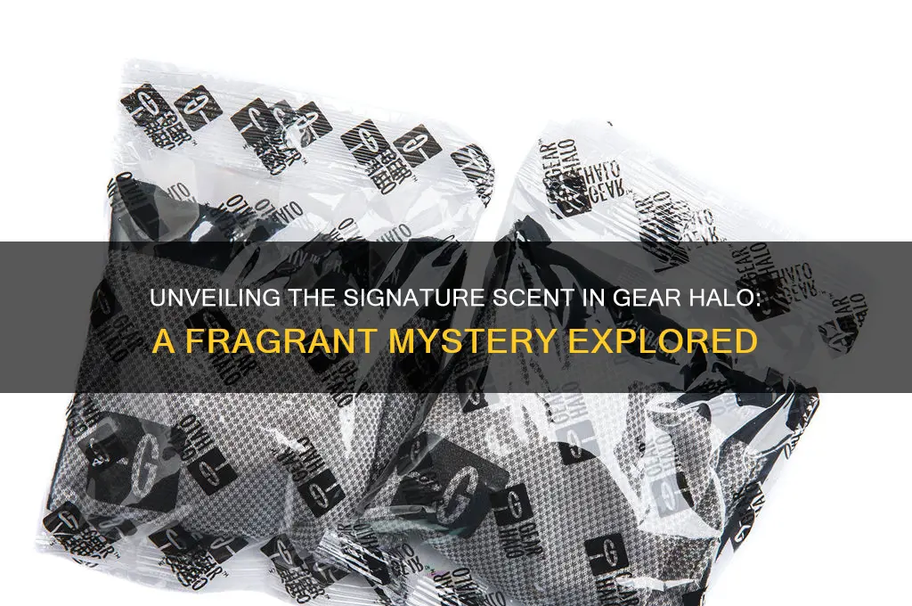what is the scent in gear halo