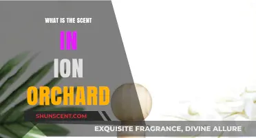 Unveiling the Signature Scent of Ion Orchard: A Fragrant Experience