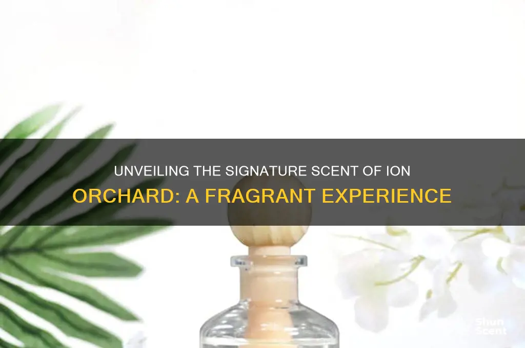 what is the scent in ion orchard