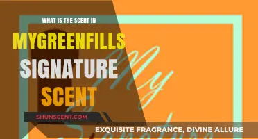 Unveiling the Fresh, Eco-Friendly Aroma of Mygreenfills Signature Scent