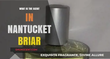 Exploring the Captivating Scent Profile of Nantucket Briar Fragrance