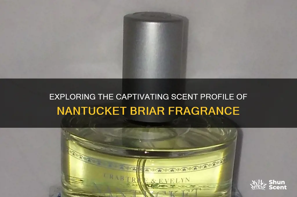 what is the scent in nantucket briar