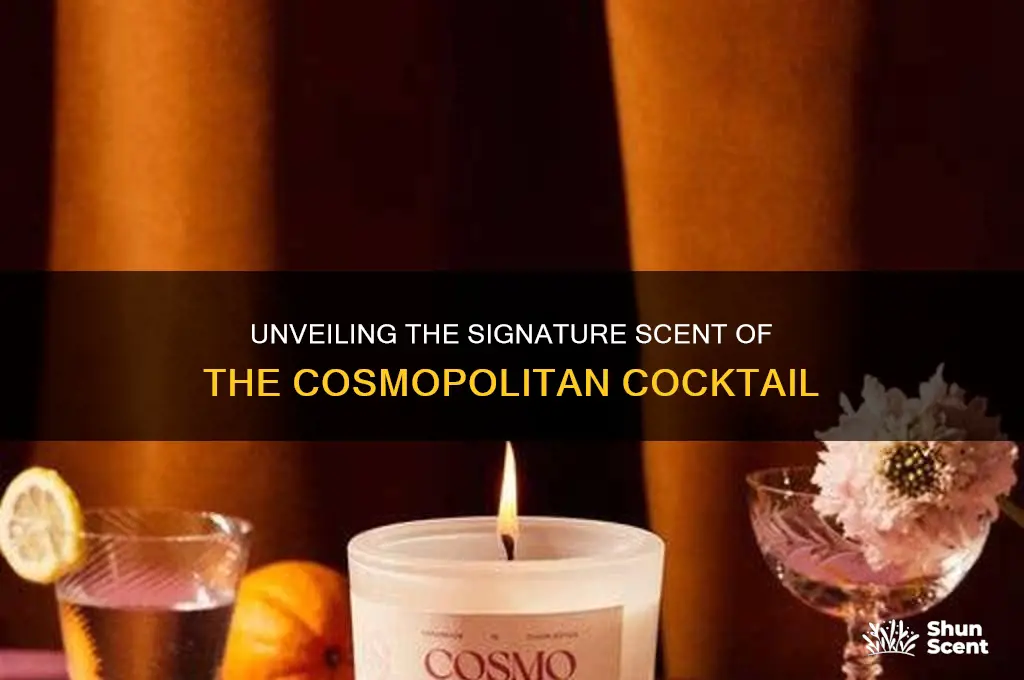 what is the scent in the cosmopolitan