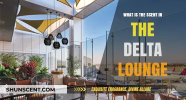 Unveiling the Signature Scent of Delta Lounge: A Fragrant Experience