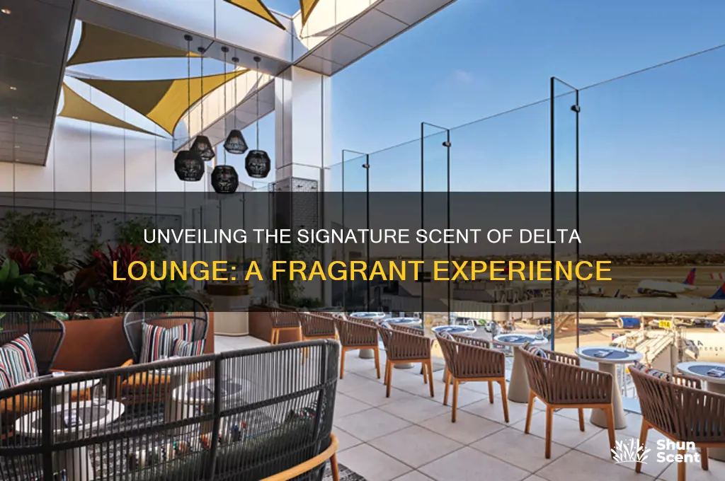 what is the scent in the delta lounge