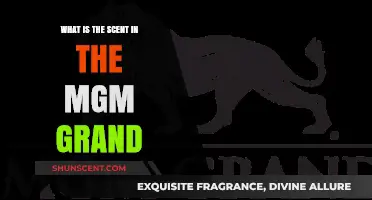 Unveiling the Signature Scent of MGM Grand: A Sensory Experience