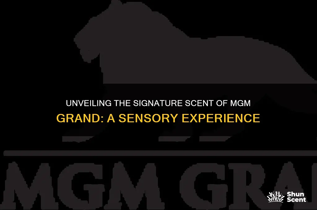 what is the scent in the mgm grand