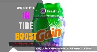 Unveiling the Fresh Scent in Tide Boost: A Deep Dive