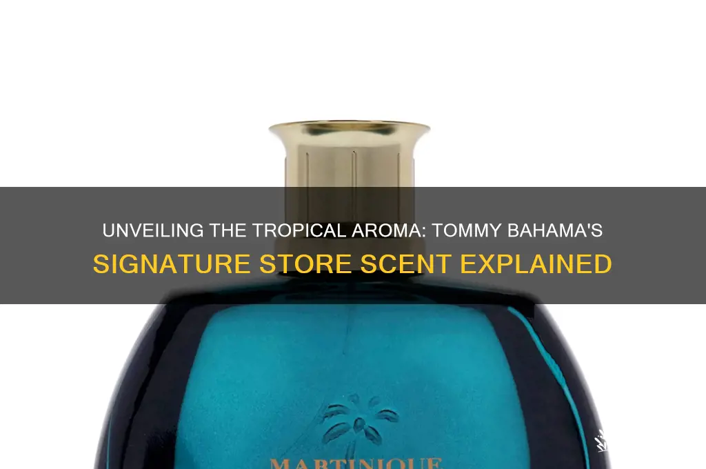 what is the scent in tommy bahama stores
