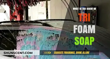 Unveiling the Fresh Aroma: What's Inside Tri Foam Soap's Scent?