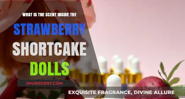 Unveiling the Sweet Scent Inside Strawberry Shortcake Dolls