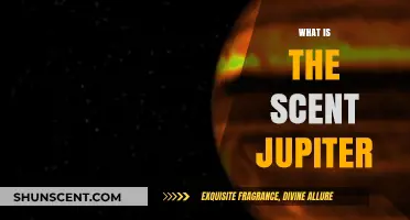 Exploring the Mysterious and Hypothetical Scent of Jupiter's Atmosphere