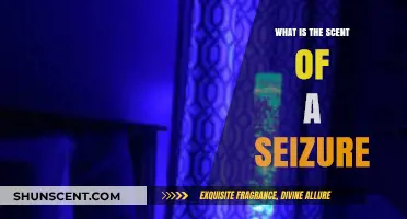 Unveiling the Mysterious Scent of a Seizure: A Sensory Exploration