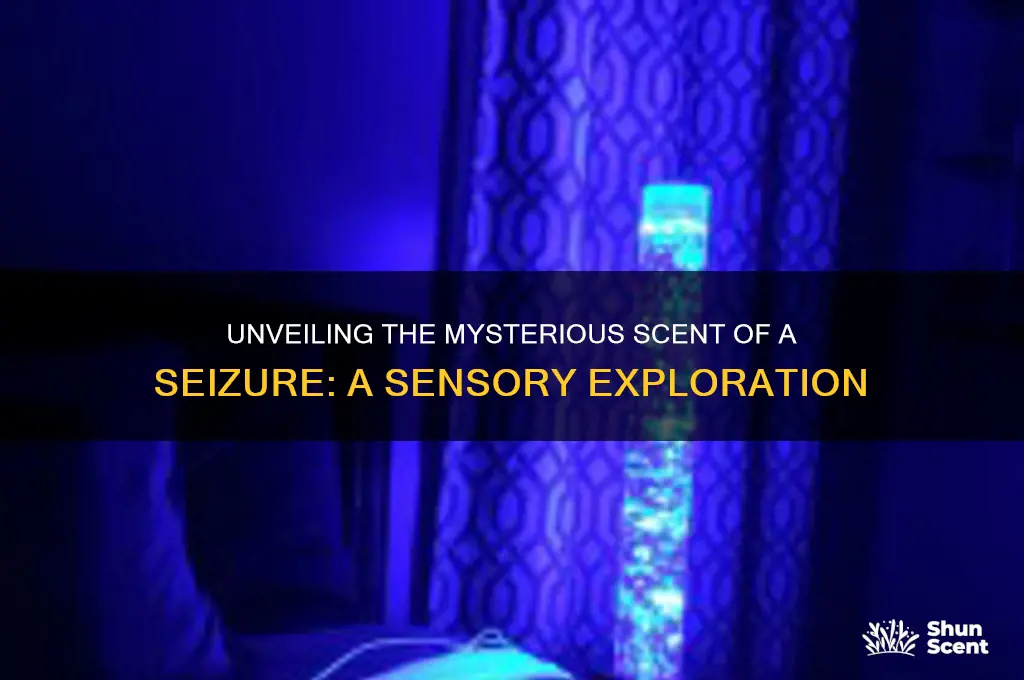 what is the scent of a seizure