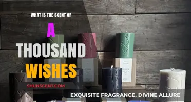 Unveiling the Mystical Aroma: The Scent of a Thousand Wishes Explored