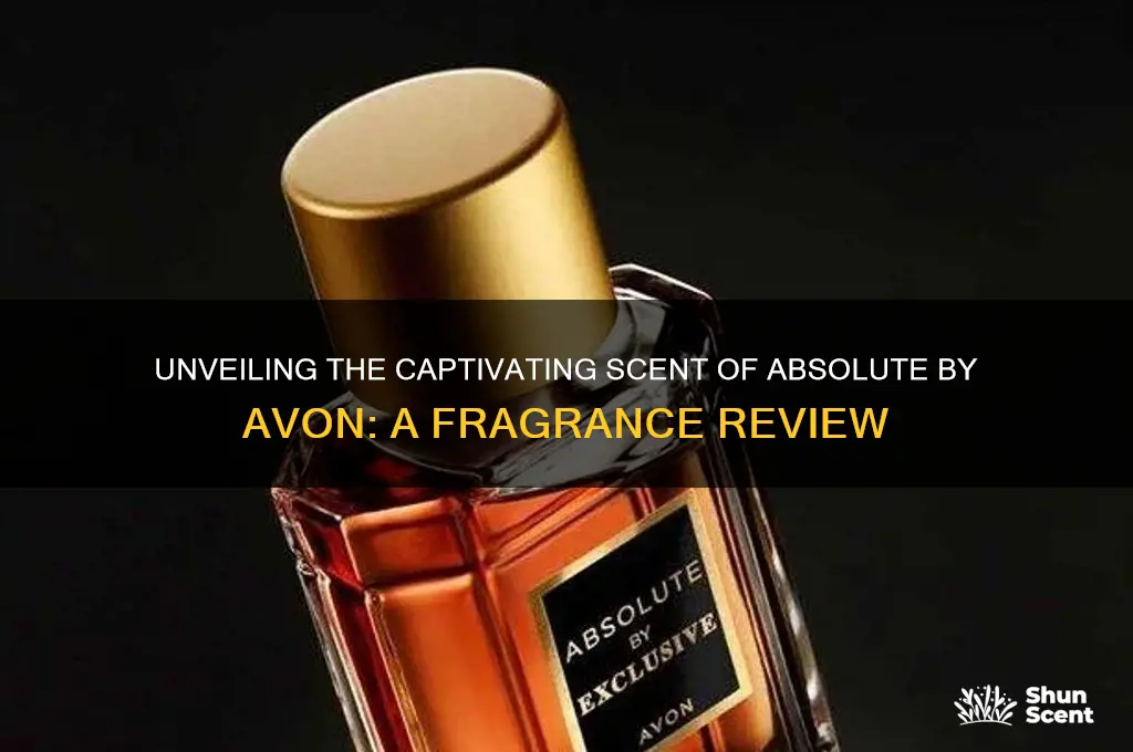what is the scent of absolute by avon