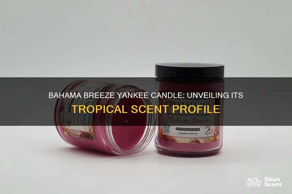 what is the scent of bahama breeze yankee candle