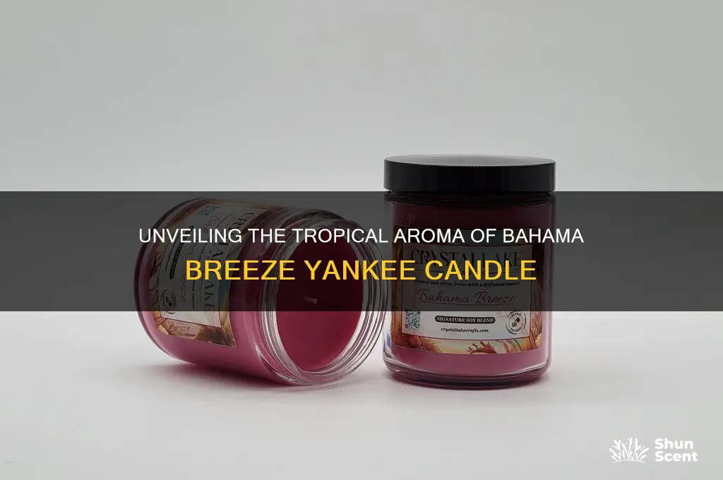 what is the scent of bahama breeze yankee canle