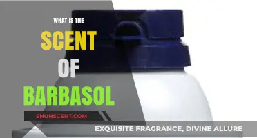 Unveiling the Classic Aroma: What is the Scent of Barbasol?