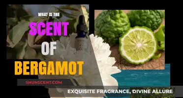Unveiling Bergamot's Aromatic Allure: A Citrusy, Floral Scent Profile Explored