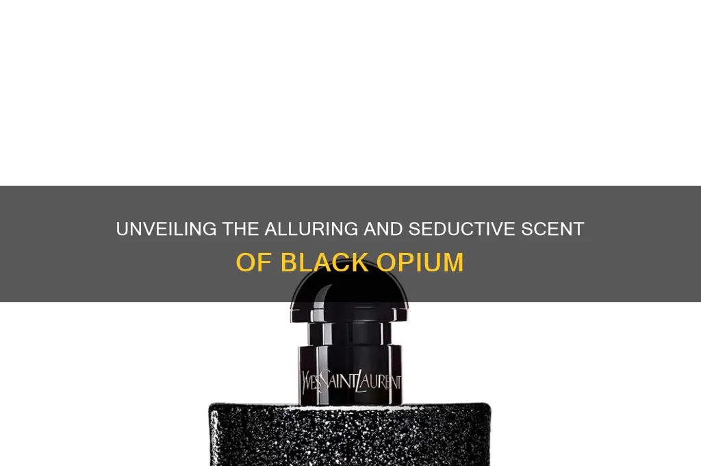 what is the scent of black opium