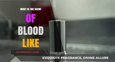 Unveiling the Mysterious, Metallic Aroma: What Does Blood Smell Like?