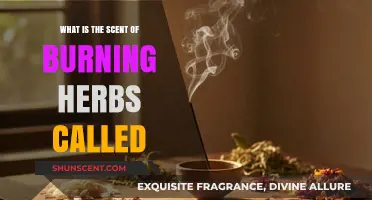 The Aromatic Mystery: Unveiling the Name of Burning Herbs' Scent