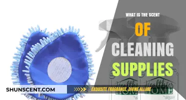 Unveiling the Fresh, Familiar Aroma of Cleaning Supplies: What's That Scent?