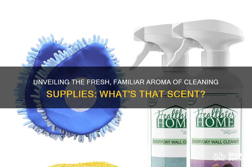 what is the scent of cleaning supplies