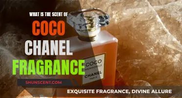 The Iconic Scent of Chanel No. 5: A Fragrance Journey