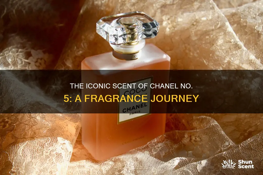 what is the scent of coco chanel fragrance