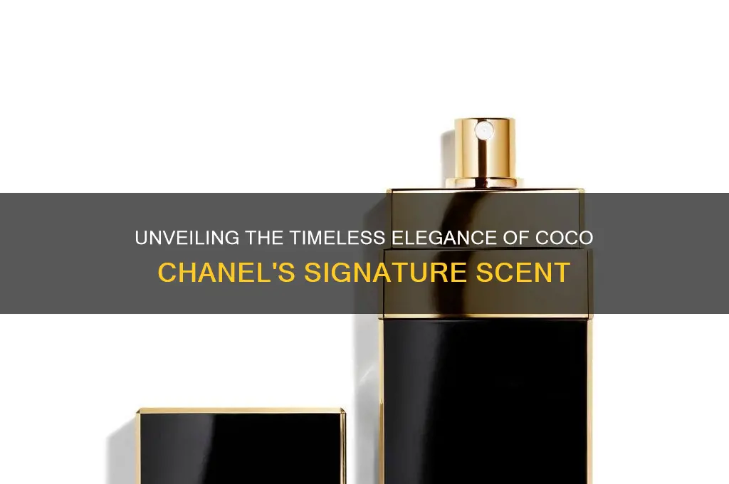 what is the scent of coco chanel