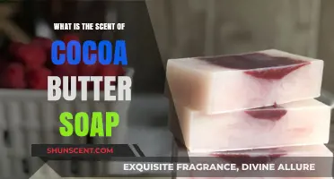 Discover the Warm, Velvety Aroma of Cocoa Butter Soap