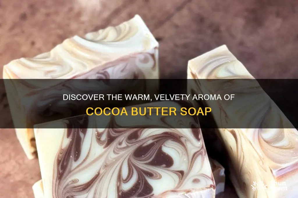what is the scent of cocoa butter soap