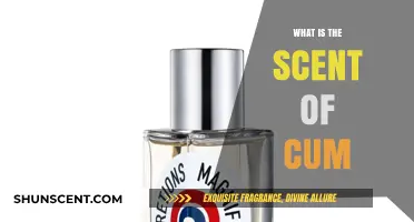 Unveiling the Unique Aroma: Understanding the Scent of Cum