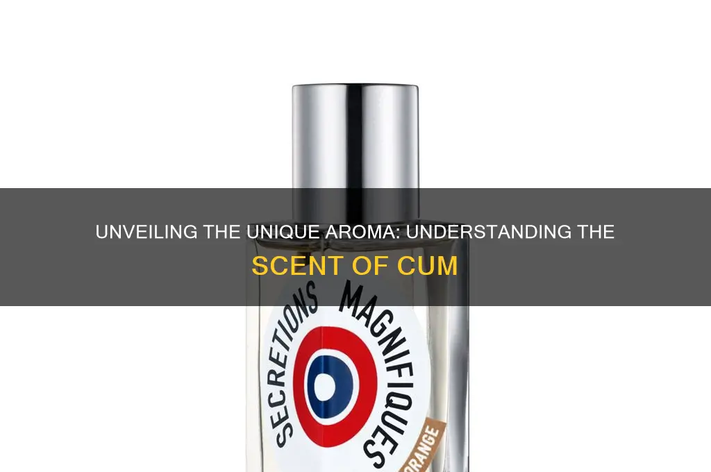 what is the scent of cum