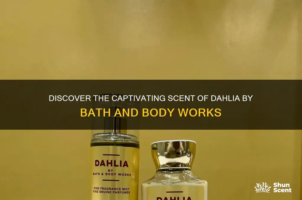 what is the scent of dahlia bath and body works
