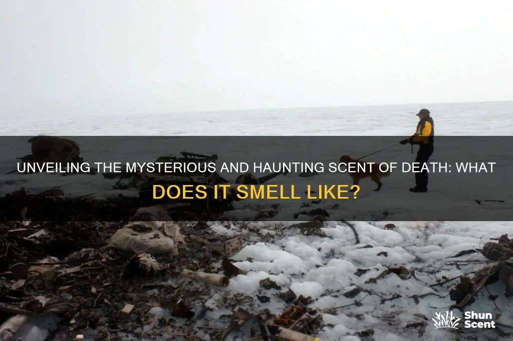 what is the scent of death