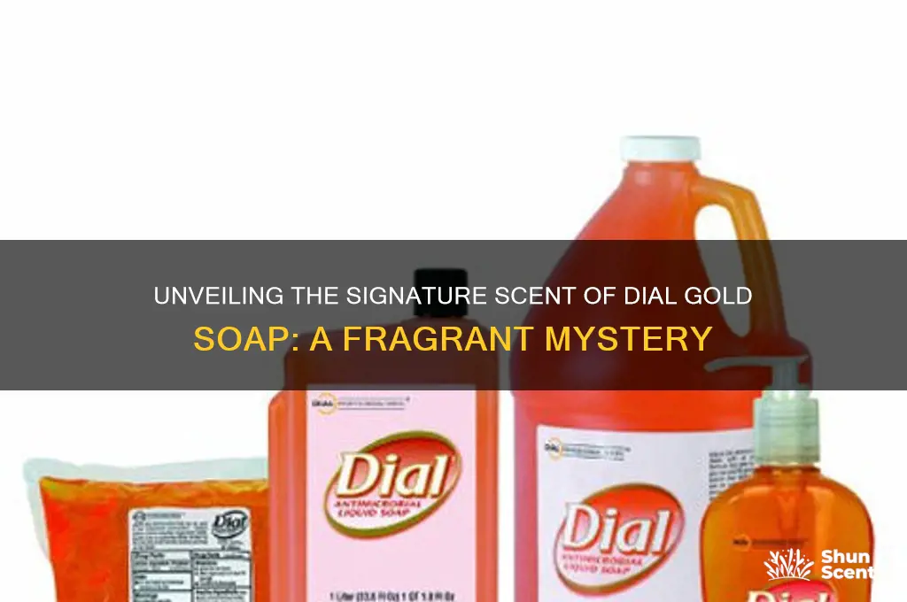 what is the scent of dial gold soap called